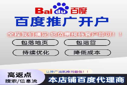 深度剖析：百度竞价推广代运营在某电商平台的成功实践